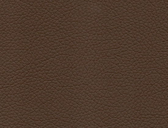 Mocha Earth
