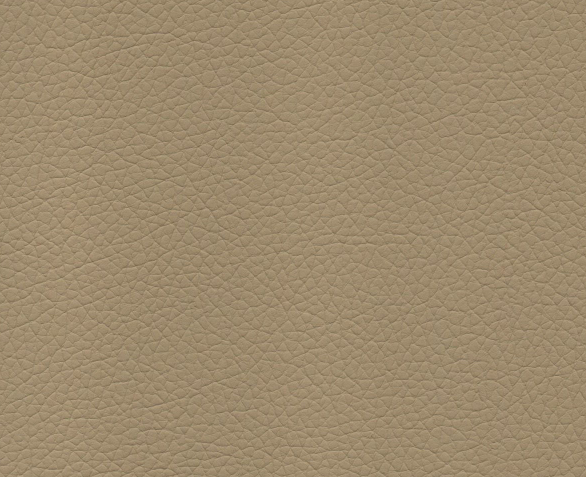Camel Hide