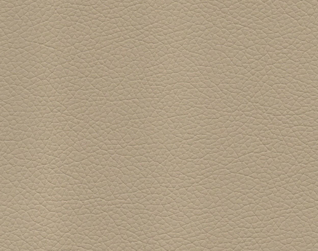 Sahara Dune