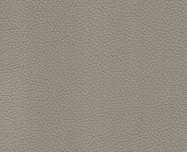 Fossil Grey