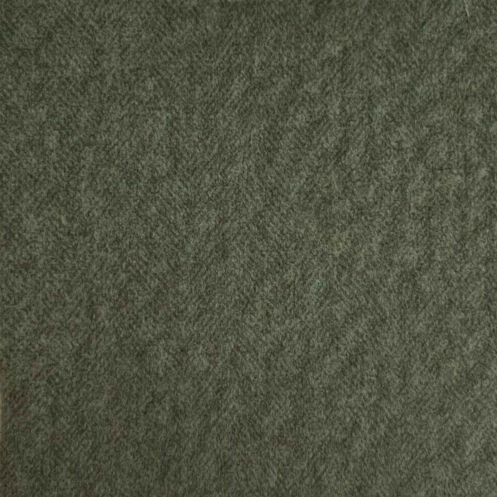 Forest Olive