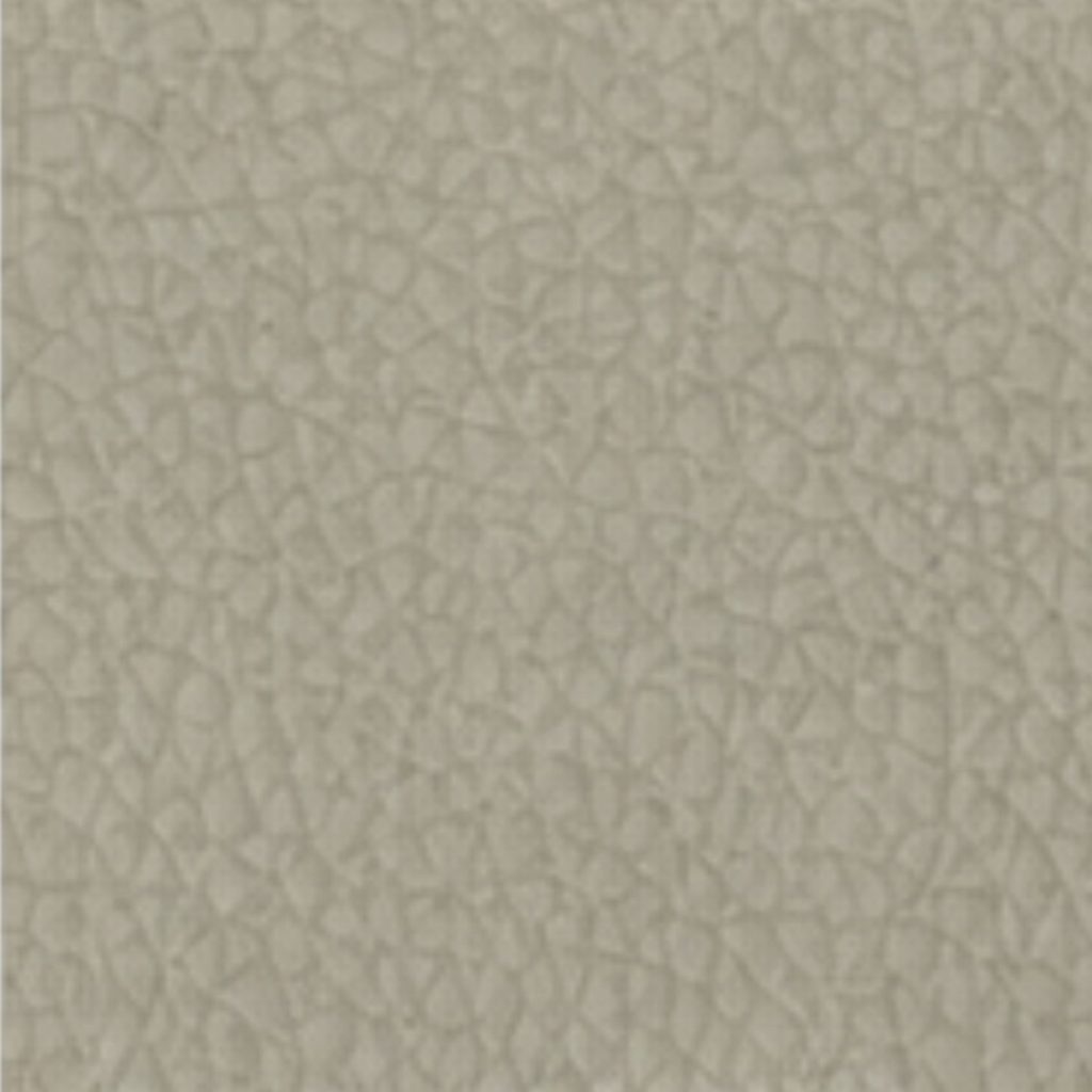 Oyster Shell