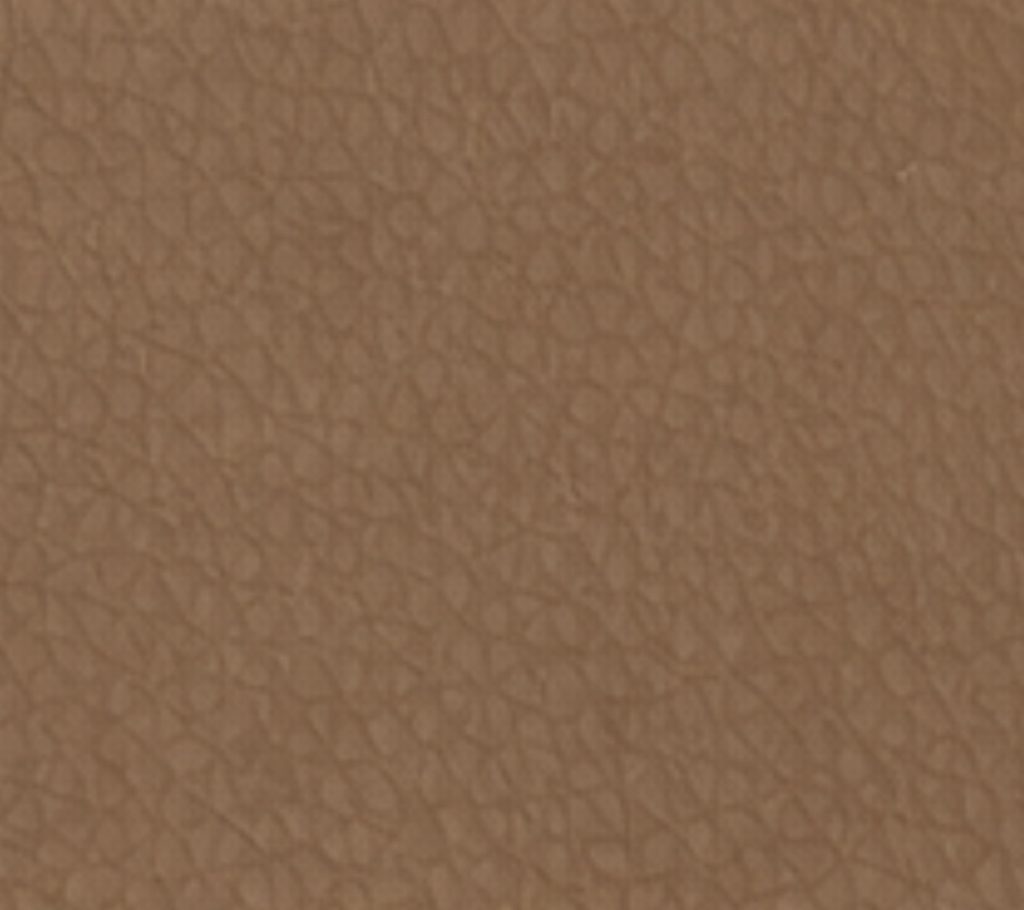 Hazelnut Sepia